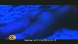 ALMOST BLUE - il trailer
