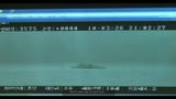 Corea, le prime immagini della nave affondata nel Mar Giallo