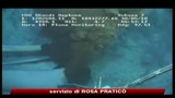 Marea nera, Casa bianca: peggiore catastrofe ecologica