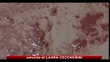 16/06/2010 - Marea nera, Obama nomina lo Zar delle coste
