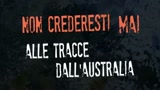 Non ruberesti mai le tracce della maturità