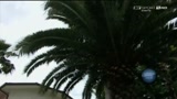 Forte dei Marmi attende Adriano Galliani
