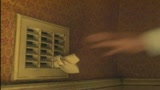 23/06/2010 - I RUBACCHIOTTI - il trailer