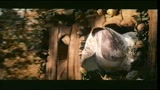 25/06/2010 - Il VIAGGIO DELLA SPOSA - IL TRAILER