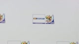 Videochat SKY.it Calciomercato 25 giugno 2010