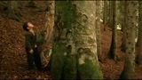 BAL - IL TRAILER
