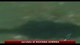 Marea nera, il greggio minaccia le coste di Miami