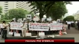 Tokyo, condannato a 2 anni attivista contro caccia balene