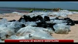 10/07/2010 - Marea Nera, nelle prossime ore posizionato nuovo tappo