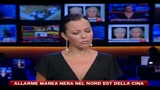 Allarme marea nera nel nord est della Cina