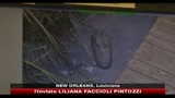 Marea nera, forse petrolio nelle paludi della Louisiana
