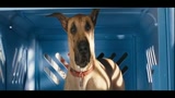 SANSONE - il trailer