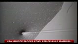 24/08/2010 - Usa, giudice blocca fondi per cellule staminali