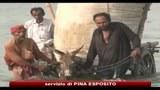 25/08/2010 - Pakistan, Zardari: anni per ricostruire il paese