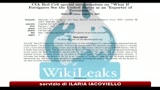 26/08/2010 - USA, Wikileaks diffonde nuovi documenti della Cia