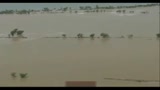 27/08/2010 - Pakistan, un altro milione di sfollati per le alluvioni