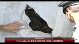 Rifiuti, sequestrati container destinati al mercato asiatico