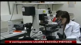 USA, primo trattamento sperimentale con staminali embrionali
