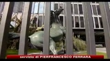 15/10/2010 - Annozero, legale Santoro, sanzione resta sospesa