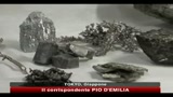 Nagoya, conferenza di 193 paesi sul futuro della biodiversità