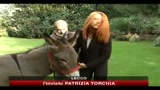Caccia, Brambilla politica tuteli meglio ambiente e animali