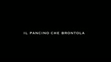 Winnie The Pooh - Trailer italiano
