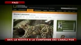 Sky, le novità e le conferme dei canali Fox