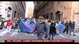 Ddl Gelmini, lunedì riprende mobilitazione studenti