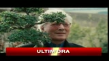 La bellezza del somaro, il nuovo film di Sergio Castellitto