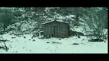 True Grit nuovo film dei fratelli Cohen
