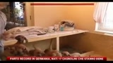 Parto record in Germania, nati 17 cagnolini che stanno bene