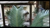 Clan Casalesi, nei bunker dei latitanti