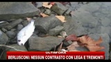 Arkansas, centinia di pesci morti sulle rive del fiume