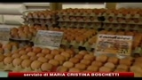 Diossina: chiusi in Germania oltre 4700 allevamenti