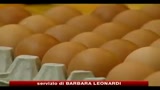 Germania, mangime alla diossina contamina uova, carne e latte