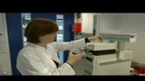 Germania, Berlino scopre il bio