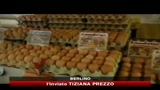 12/01/2011 - Scandalo diossina, la Cina blocca import dalla Germania