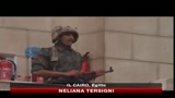 11/02/2011 - Egitto, esercito garantirà elezioni