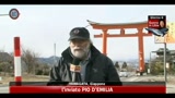 Giappone, scossa magnitudo 4.9 a Ibaraki: nessun danno
