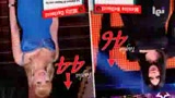 Telenovella: la rivincita della taglia 44