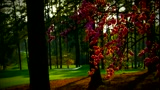 Golf Augusta Master