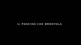 WINNIE THE POOH - NUOVE AVVENTURE NEL BOSCO DEI 100 ACRI - il trailer
