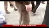 27/04/2011 - Siria, ancora pesanti bombardamenti a Daraa