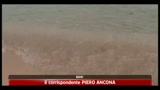 Spiagge ai privati, imprenditori e ambientalisti divisi in Puglia