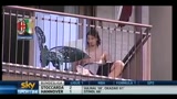 Tintarella rossonera per Ibrahimovic