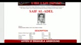 18/05/2011 - Bin Laden, l'egiziano Seif Al Adel nuovo capo di Al Qaeda