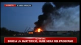 21/05/2011 - Brucia un ovattificio, nube nera nel padovano
