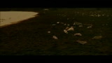 NAUTA - il trailer