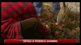 Lavoro, taglia erba durante giorno di malattia, non licenziabile