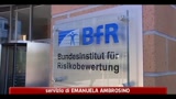 30/05/2011 - Berlino, oggi il vertice straordinario su batterio killer